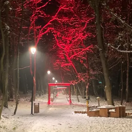 Patio 50 M Od Plazy *